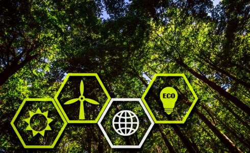 Senza titolo (490 x 300 mm)